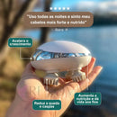 Massageador Elétrico para Couro Cabeludo - Renova Hair